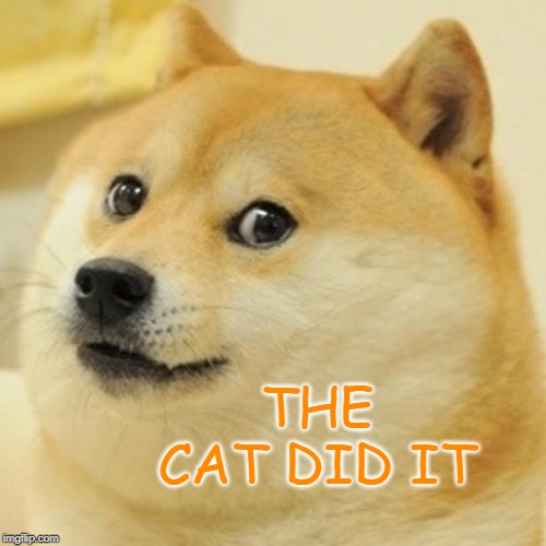 Doge Meme | THE CAT DID IT | image tagged in memes,doge | made w/ Imgflip meme maker