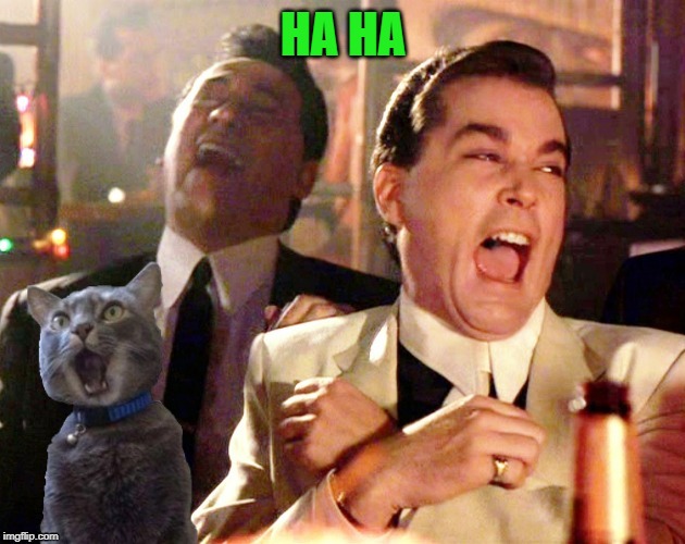 HA HA | made w/ Imgflip meme maker