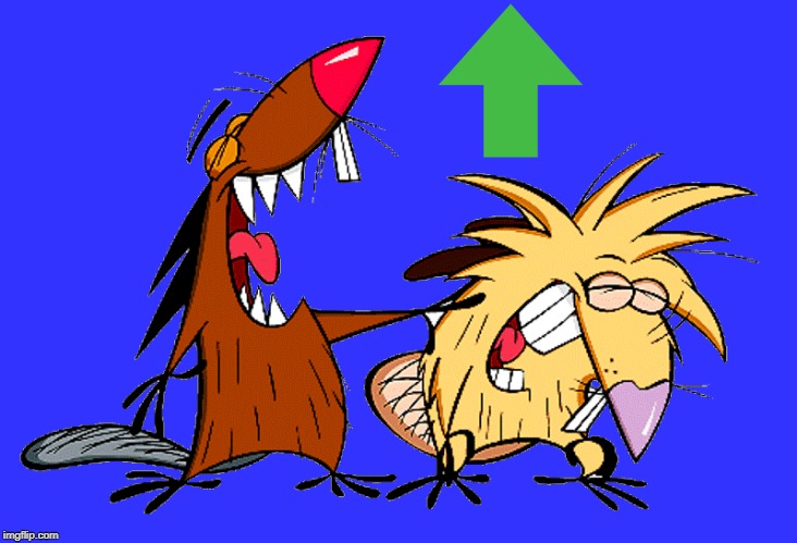 angry beavers | image tagged in angry beavers | made w/ Imgflip meme maker