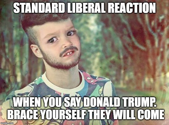 Funny kid face | STANDARD LIBERAL REACTION WHEN YOU SAY DONALD TRUMP.  BRACE YOURSELF THEY WILL COME | image tagged in funny kid face | made w/ Imgflip meme maker