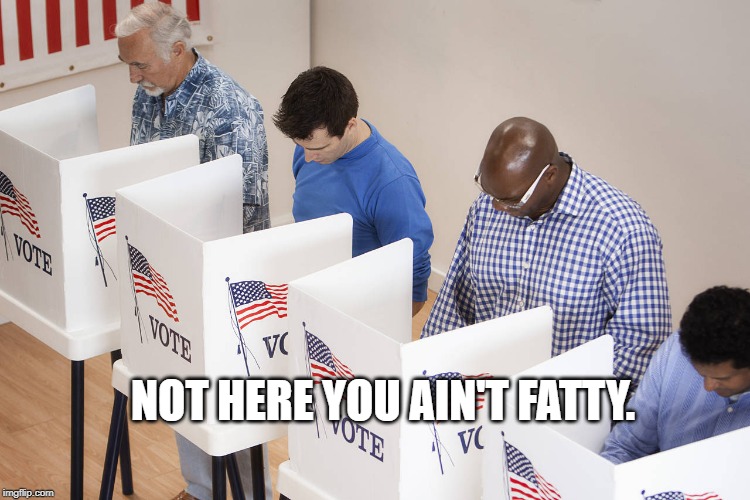 voting booth | NOT HERE YOU AIN'T FATTY. | image tagged in voting booth | made w/ Imgflip meme maker