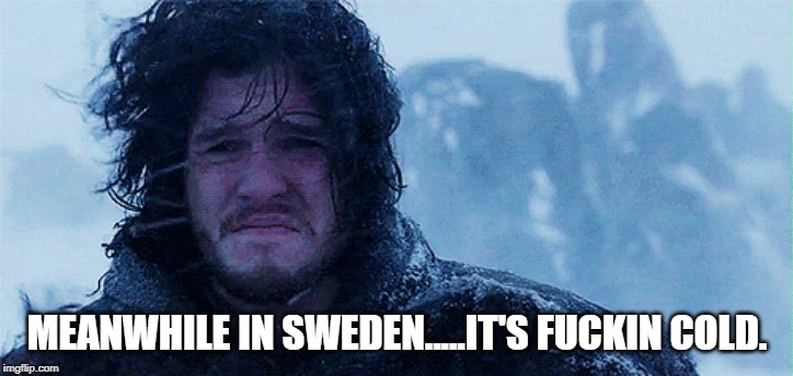 MEANWHILE IN SWEDEN.....IT'S F**KIN COLD. | made w/ Imgflip meme maker