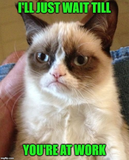 Grumpy Cat Meme | I'LL JUST WAIT TILL YOU'RE AT WORK | image tagged in memes,grumpy cat | made w/ Imgflip meme maker