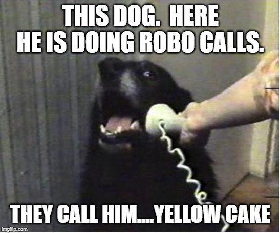 Yes this is dog | THIS DOG.  HERE HE IS DOING ROBO CALLS. THEY CALL HIM....YELLOW CAKE | image tagged in yes this is dog | made w/ Imgflip meme maker