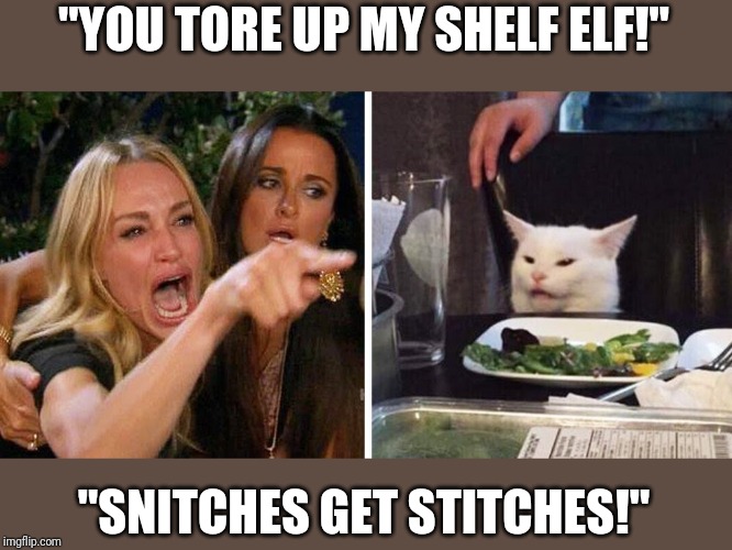 Smudge the cat | "YOU TORE UP MY SHELF ELF!"; "SNITCHES GET STITCHES!" | image tagged in smudge the cat | made w/ Imgflip meme maker