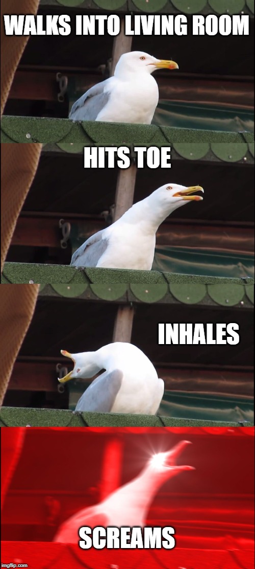 Inhaling Seagull | WALKS INTO LIVING ROOM; HITS TOE; INHALES; SCREAMS | image tagged in memes,inhaling seagull | made w/ Imgflip meme maker