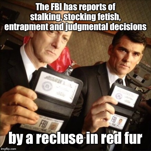 FBI | The FBI has reports of stalking, stocking fetish, entrapment and judgmental decisions by a recluse in red fur | image tagged in fbi | made w/ Imgflip meme maker