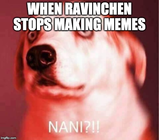 Nani? | WHEN RAVINCHEN STOPS MAKING MEMES | image tagged in nani | made w/ Imgflip meme maker