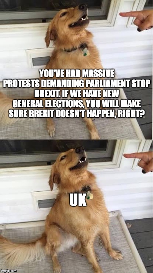 No vayas a hacer eso | YOU'VE HAD MASSIVE PROTESTS DEMANDING PARLIAMENT STOP BREXIT. IF WE HAVE NEW GENERAL ELECTIONS, YOU WILL MAKE SURE BREXIT DOESN'T HAPPEN, RIGHT? UK | image tagged in no vayas a hacer eso | made w/ Imgflip meme maker