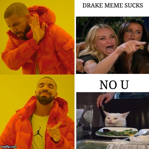 Drake Hotline Cat | DRAKE MEME SUCKS; NO U | image tagged in drake hotline bling,woman yelling at cat | made w/ Imgflip meme maker