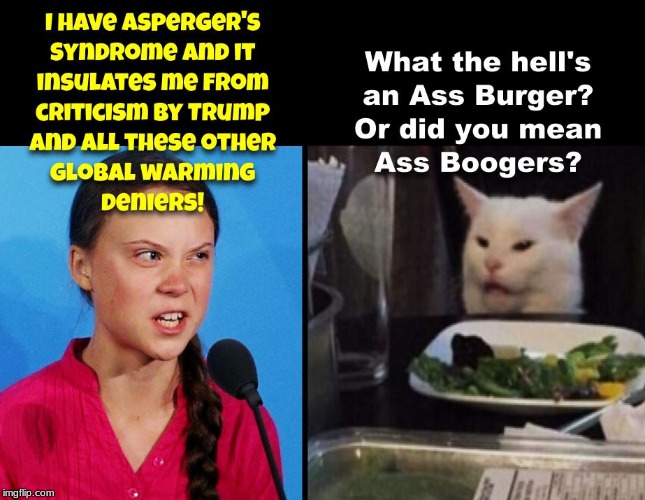 Greta Thunberg. An obnoxious little snot | image tagged in global warming,ecofascist greta thunberg,political,politics | made w/ Imgflip meme maker