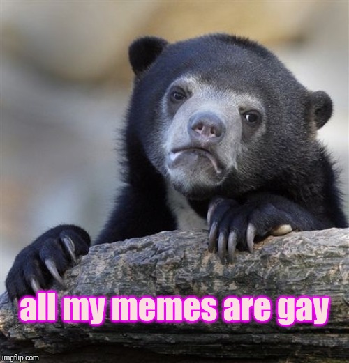 Confession Bear | all my memes are gay | image tagged in memes,confession bear | made w/ Imgflip meme maker