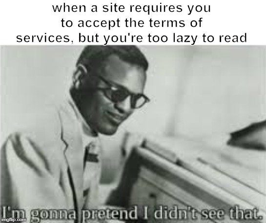 im gonna pretend i didnt see that | when a site requires you to accept the terms of services, but you're too lazy to read | image tagged in im gonna pretend i didnt see that | made w/ Imgflip meme maker