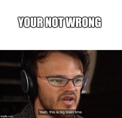 It's Big Brain Time | YOUR NOT WRONG | image tagged in it's big brain time | made w/ Imgflip meme maker