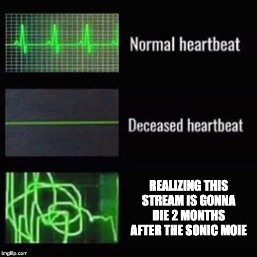 heartbeat rate | REALIZING THIS STREAM IS GONNA DIE 2 MONTHS AFTER THE SONIC MOIE | image tagged in heartbeat rate,sonic the hedgehog,sonic movie | made w/ Imgflip meme maker