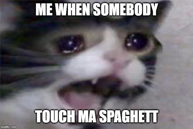 don't touch ma spaghett | ME WHEN SOMEBODY; TOUCH MA SPAGHETT | image tagged in divertente,gatti | made w/ Imgflip meme maker