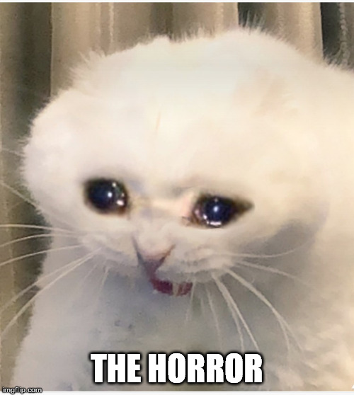 THE HORROR | made w/ Imgflip meme maker