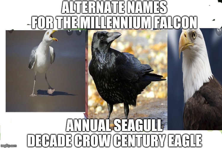 And Just Like That Meme | ALTERNATE NAMES FOR THE MILLENNIUM FALCON; ANNUAL SEAGULL DECADE CROW CENTURY EAGLE | image tagged in memes,and just like that | made w/ Imgflip meme maker