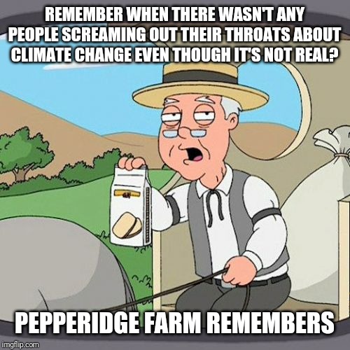 Pepperidge Farm Remembers Meme | REMEMBER WHEN THERE WASN'T ANY PEOPLE SCREAMING OUT THEIR THROATS ABOUT CLIMATE CHANGE EVEN THOUGH IT'S NOT REAL? PEPPERIDGE FARM REMEMBERS | image tagged in memes,pepperidge farm remembers | made w/ Imgflip meme maker