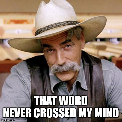 SARCASM COWBOY | THAT WORD NEVER CROSSED MY MIND | image tagged in sarcasm cowboy | made w/ Imgflip meme maker