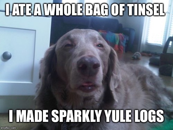High Dog Meme | I ATE A WHOLE BAG OF TINSEL I MADE SPARKLY YULE LOGS | image tagged in memes,high dog | made w/ Imgflip meme maker