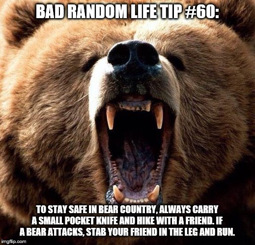 Don't poke the bear  |  BAD RANDOM LIFE TIP #60:; TO STAY SAFE IN BEAR COUNTRY, ALWAYS CARRY A SMALL POCKET KNIFE AND HIKE WITH A FRIEND. IF A BEAR ATTACKS, STAB YOUR FRIEND IN THE LEG AND RUN. | image tagged in don't poke the bear | made w/ Imgflip meme maker