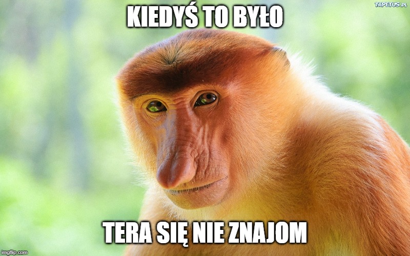 Janusz Monkey | KIEDYŚ TO BYŁO; TERA SIĘ NIE ZNAJOM | image tagged in janusz monkey | made w/ Imgflip meme maker