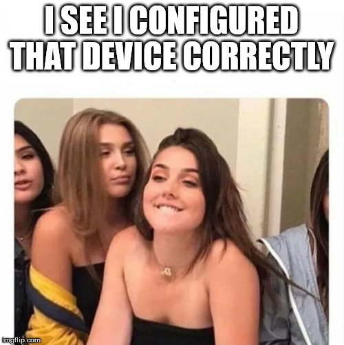 horny girl | I SEE I CONFIGURED THAT DEVICE CORRECTLY | image tagged in horny girl | made w/ Imgflip meme maker