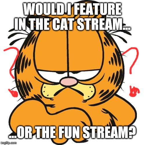 Garfield | WOULD I FEATURE IN THE CAT STREAM... ...OR THE FUN STREAM? | image tagged in garfield | made w/ Imgflip meme maker