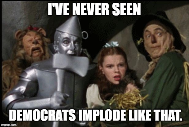 Wizard of Oz  | I'VE NEVER SEEN; DEMOCRATS IMPLODE LIKE THAT. | image tagged in wizard of oz | made w/ Imgflip meme maker