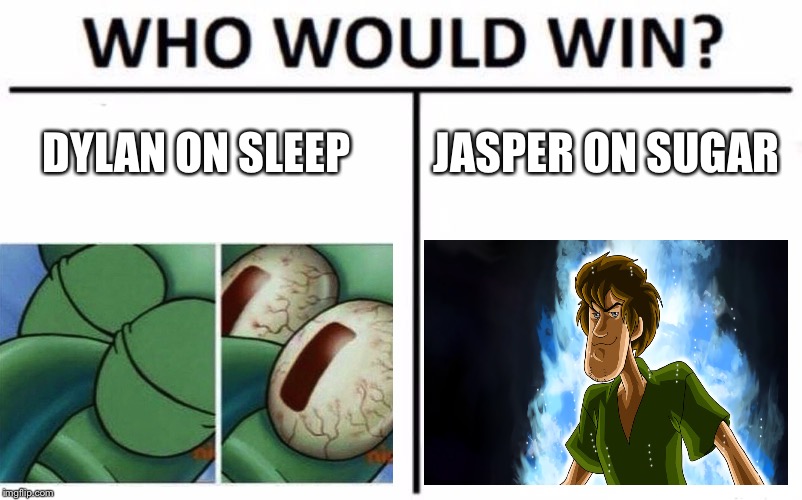 Who Would Win? Meme | DYLAN ON SLEEP; JASPER ON SUGAR | image tagged in memes,who would win | made w/ Imgflip meme maker
