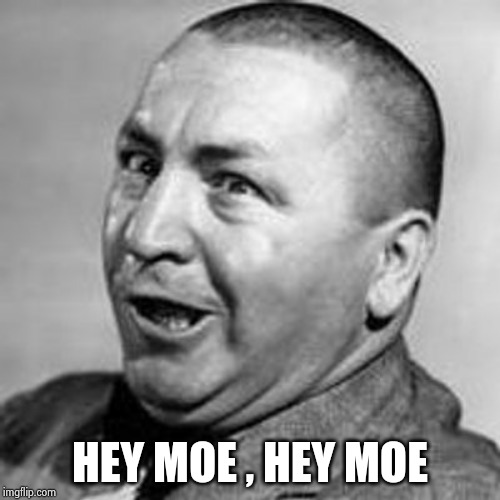 Curly | HEY MOE , HEY MOE | image tagged in curly | made w/ Imgflip meme maker