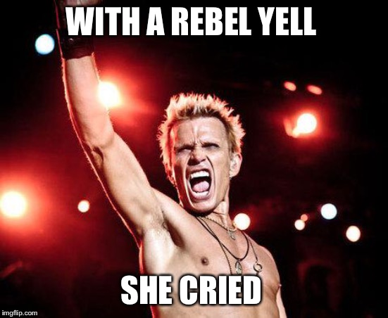 billy idol | WITH A REBEL YELL SHE CRIED | image tagged in billy idol | made w/ Imgflip meme maker