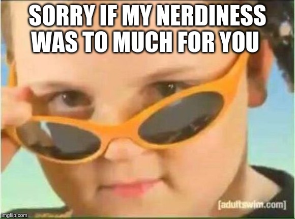 cool kid with orange sunglasses | SORRY IF MY NERDINESS WAS TO MUCH FOR YOU | image tagged in cool kid with orange sunglasses | made w/ Imgflip meme maker
