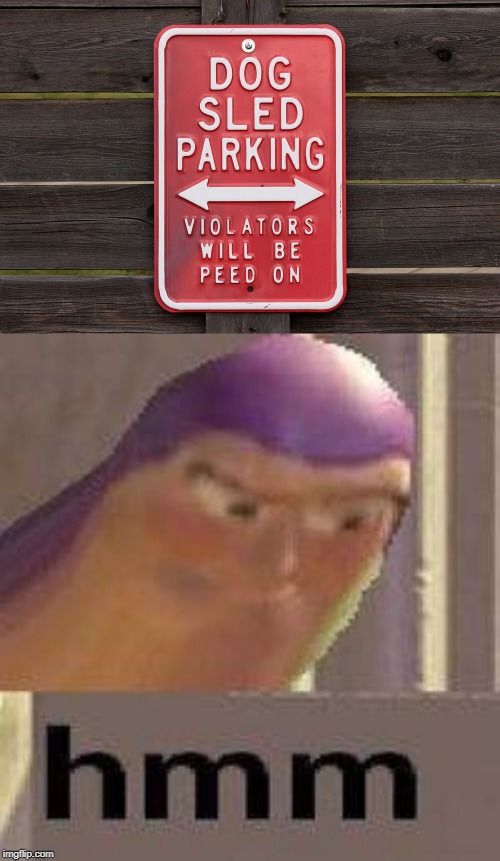 violators will be peed on. | image tagged in buzz lightyear hmm,hmmm,funny,memes,dogs,sledding | made w/ Imgflip meme maker