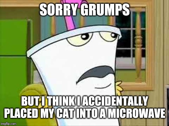 master shake | SORRY GRUMPS BUT I THINK I ACCIDENTALLY PLACED MY CAT INTO A MICROWAVE | image tagged in master shake | made w/ Imgflip meme maker