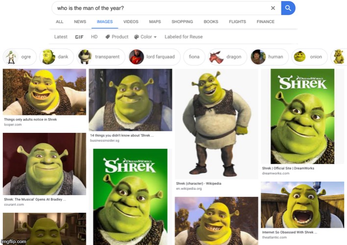 Man of the year | image tagged in shrek,man of the year,google,ogre,epic | made w/ Imgflip meme maker