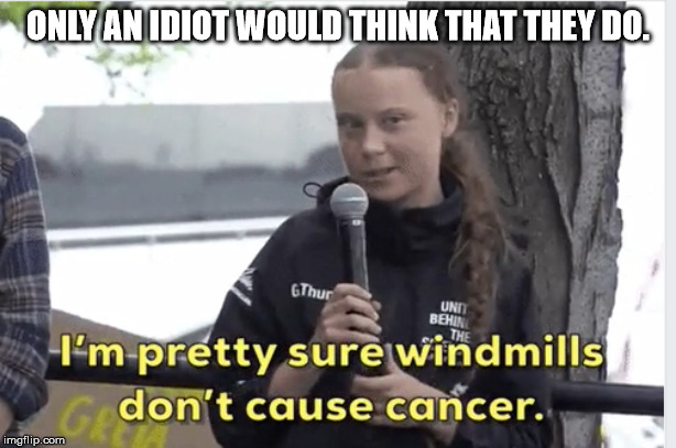 Greta Knows | ONLY AN IDIOT WOULD THINK THAT THEY DO. | image tagged in greta knows | made w/ Imgflip meme maker
