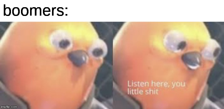Listen here you little shit bird | boomers: | image tagged in listen here you little shit bird | made w/ Imgflip meme maker