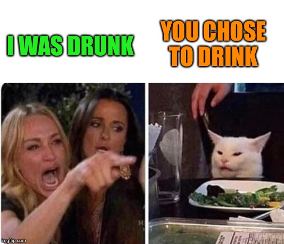 Lady screams at cat | I WAS DRUNK YOU CHOSE TO DRINK | image tagged in lady screams at cat | made w/ Imgflip meme maker