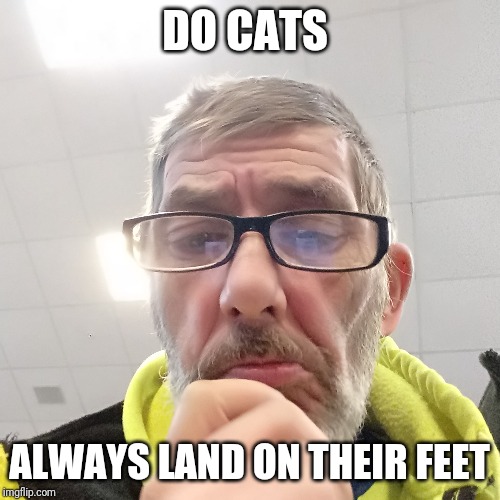 Pondering Bert | DO CATS; ALWAYS LAND ON THEIR FEET | image tagged in pondering bert | made w/ Imgflip meme maker