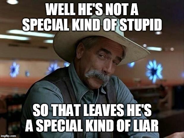 special kind of stupid | WELL HE'S NOT A SPECIAL KIND OF STUPID SO THAT LEAVES HE'S A SPECIAL KIND OF LIAR | image tagged in special kind of stupid | made w/ Imgflip meme maker