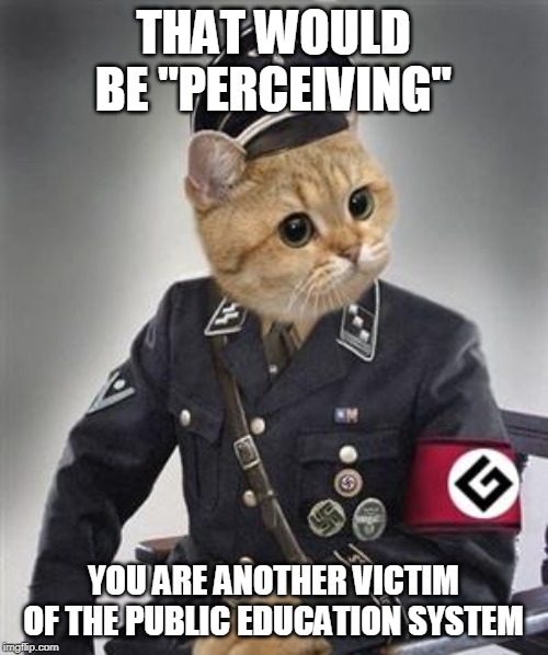 Grammar Nazi Cat | THAT WOULD BE "PERCEIVING" YOU ARE ANOTHER VICTIM OF THE PUBLIC EDUCATION SYSTEM | image tagged in grammar nazi cat | made w/ Imgflip meme maker