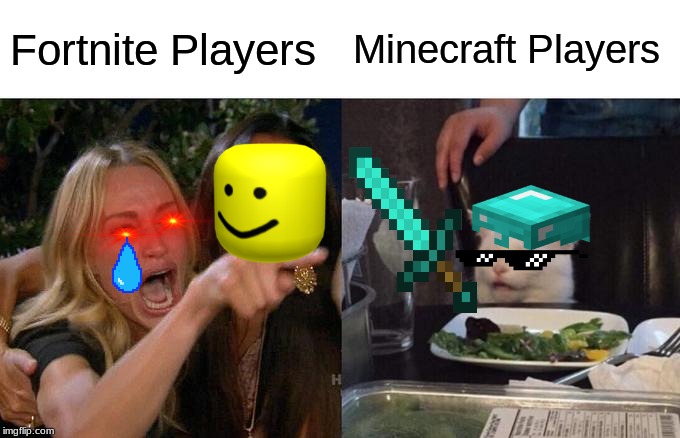 Woman Yelling At Cat | Fortnite Players; Minecraft Players | image tagged in memes,woman yelling at cat | made w/ Imgflip meme maker
