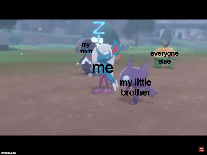 Oh, we can relate.... | my mom; everyone else; me; my little brother | image tagged in sableye runs around a shiny morgrem,pokemon sword and shield | made w/ Imgflip meme maker