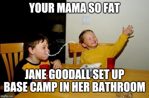 Yo Mamas So Fat | YOUR MAMA SO FAT; JANE GOODALL SET UP BASE CAMP IN HER BATHROOM | image tagged in memes,yo mamas so fat | made w/ Imgflip meme maker