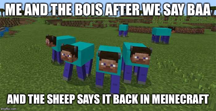 me and the boys | ME AND THE BOIS AFTER WE SAY BAA; AND THE SHEEP SAYS IT BACK IN MEINECRAFT | image tagged in me and the boys,minecraft | made w/ Imgflip meme maker