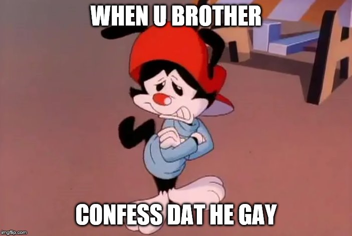 wakko | WHEN U BROTHER; CONFESS DAT HE GAY | image tagged in wakko | made w/ Imgflip meme maker