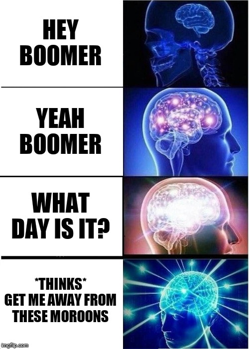 Expanding Brain | HEY BOOMER; YEAH BOOMER; WHAT DAY IS IT? *THINKS* GET ME AWAY FROM THESE MOROONS | image tagged in memes,expanding brain | made w/ Imgflip meme maker