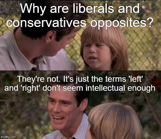 That's Just Something X Say | Why are liberals and conservatives opposites? They're not. It's just the terms 'left' and 'right' don't seem intellectual enough | image tagged in memes,thats just something x say,politics | made w/ Imgflip meme maker